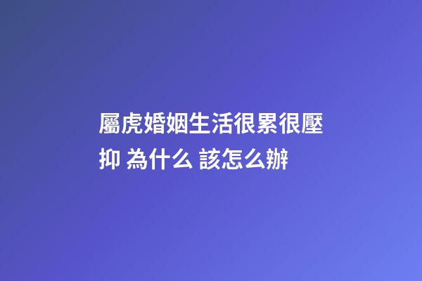 屬虎婚姻生活很累很壓抑 為什么 該怎么辦